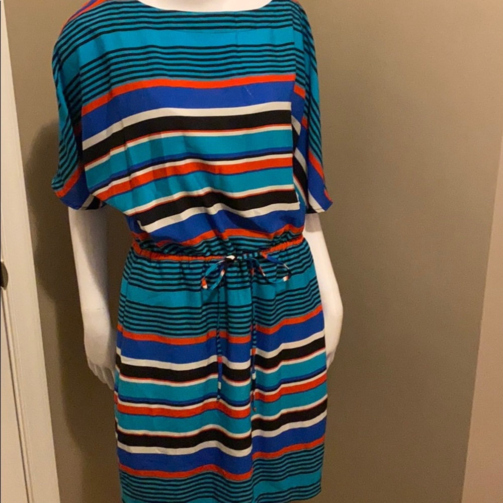 Multi-colored Striped Cinched Waist Dress
